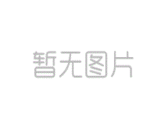 男子给猫纹身引争议，虐猫指控下的网络暴力现象探析